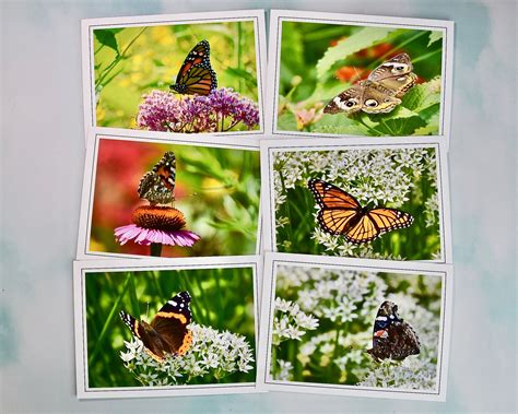 Butterfly Note Cards - Blank Note Cards 60-0150