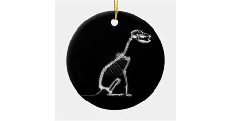 X-RAY PUPPY DOG SKELETON SITTING - B&W CERAMIC ORNAMENT | Zazzle