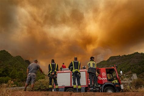 Spain battles ‘out of control’ wildfire on Tenerife | Wildlife News ...