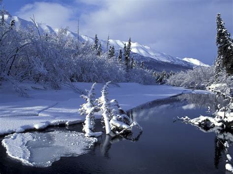 Alaska Winter Frost Wallpapers - Wallpaper Cave