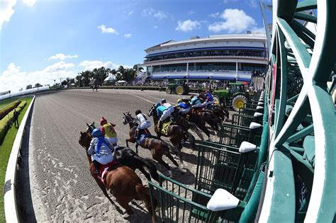 How to bet the mandatory Pick 6 payouts at Gulfstream and Tu | TwinSpires