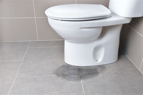 Leaking Toilet Cistern: Main Causes & How To Fix It