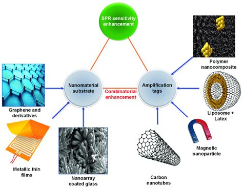 Various strategies to enhance the signal of SPR sensors. | Download ...