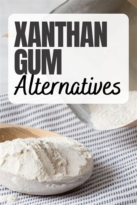 15 Best Xanthan Gum Substitutes For Your Ideal Baked Dish