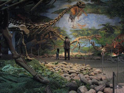 File:Zigong Dinosaur Museum 001.jpg - Wikimedia Commons