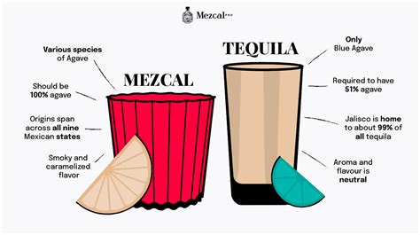 Mezcal vs. Tequila: What is the difference? - Peak Beverage