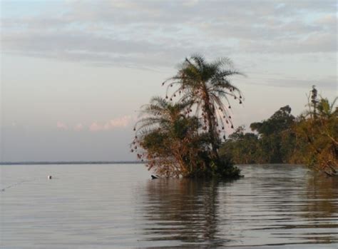 Biodiversity and resilience in waterways - McGill Reporter