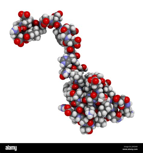 Lepirudin structure Cut Out Stock Images & Pictures - Alamy