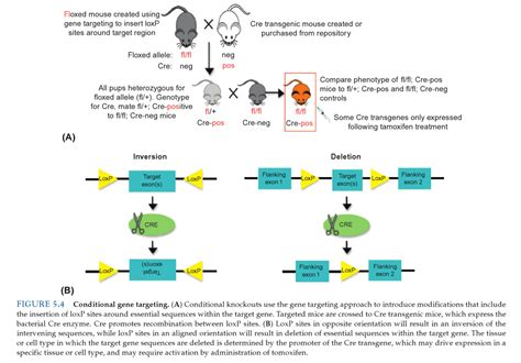 57 questions with answers in ENZYME TECHNOLOGY | Science topic