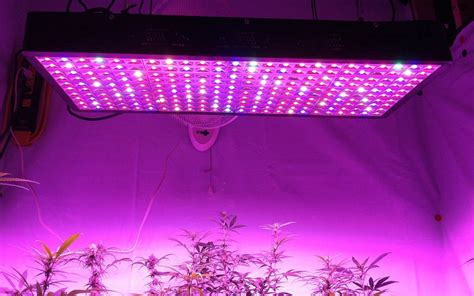 Best LED Grow Lights for Weed