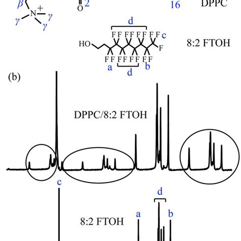 (a) Molecular structures of DPPC and 8:2 FTOH, and labels used for... | Download Scientific Diagram