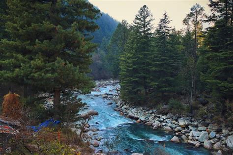 Have a Perfect Stay At These 10 Best Hotels in Kasol | Veena World