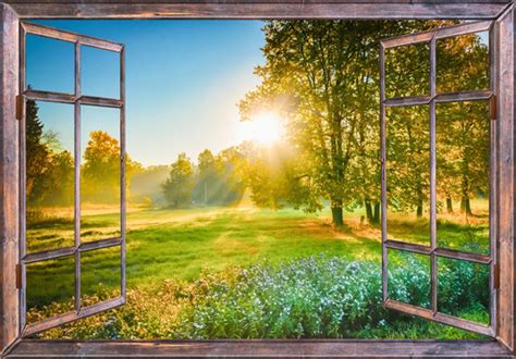 Window View Nature Images – Browse 518,159 Stock Photos, Vectors, and ...