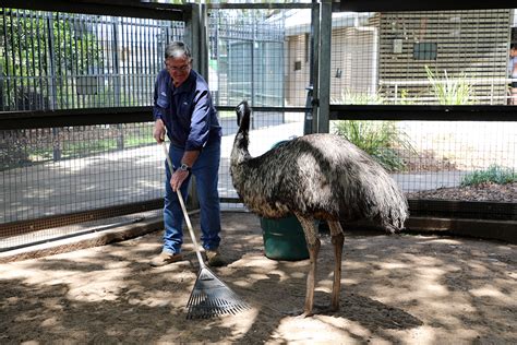 Alexandra Park Zoo calls for more volunteers – Bundaberg Now