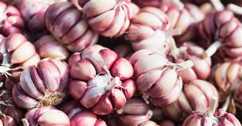 The Powerful Health Benefits Of 6 Kinds Of Garlic - Nifty Wellness