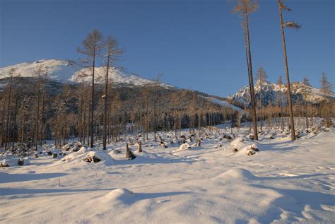 Vysoke Tatry 2009 1 Free Photo Download | FreeImages