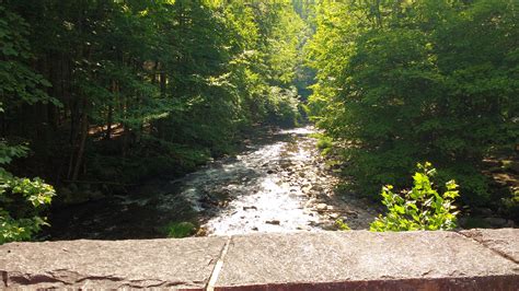 Elkmont Campground Camping | The Dyrt