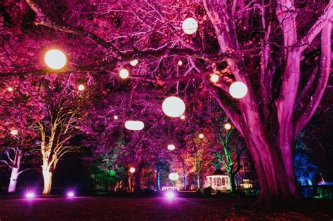 Parish Council announce dates of Enchanted Gardens Light Trail ...