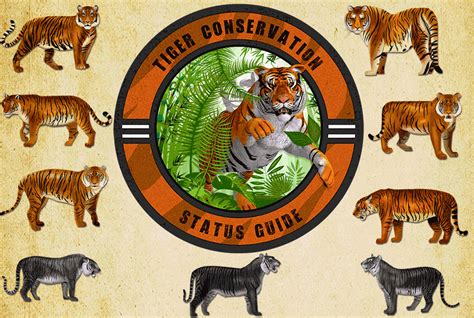 The Definitive Tiger Conservation Status Guide 2022