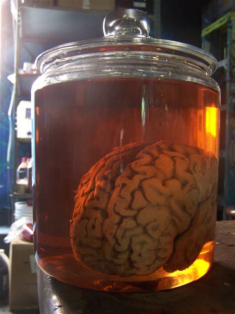 Brain Jack Image: Brain Jar