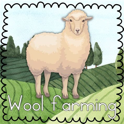 Wool farming – Super Slim Studente