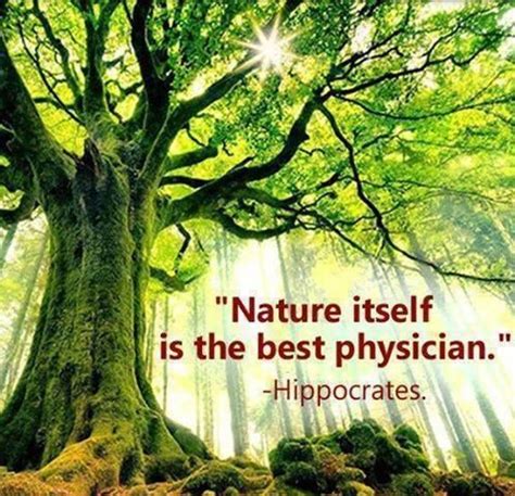 Health Quotes Hippocrates. QuotesGram