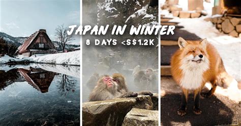 8-Day Japan Winter Itinerary For Less Than S$1.2k — Fox Village, Snow ...