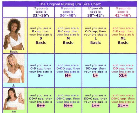 nursing bra size chart | Baby shower ideas & other baby stuff | Bra size charts, Baby bash, Baby ...