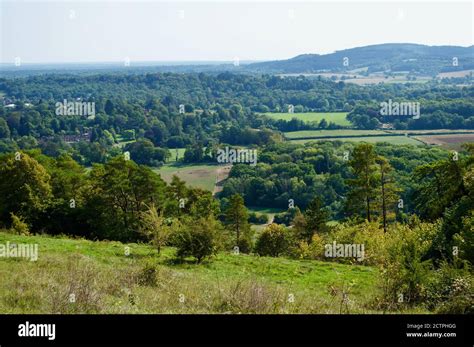 View of the Surrey countryside in the UK Stock Photo - Alamy