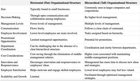 Horizontal (Flat) vs Hierarchical (Tall) Organizational Structure: Meaning, Difference