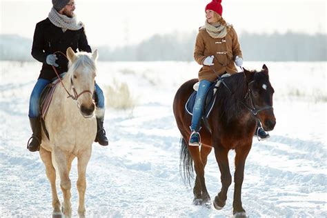 Winter Horse Riding in Bled | Activities in Slovenia from Bled & Ljubljana