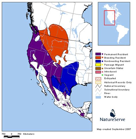 Americas Range Map - Spotted Towhee | BirdPhotos.com