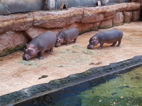 Afrykarium (Wrocław zoo) - ITS Poland