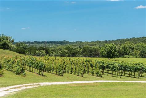 Texas Hill Country Wineries