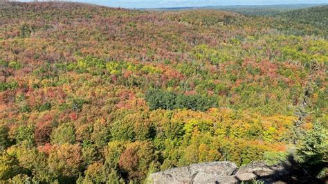 Fall colors in Minnesota: Where to see the best fall foliage | FOX 9 Minneapolis-St. Paul