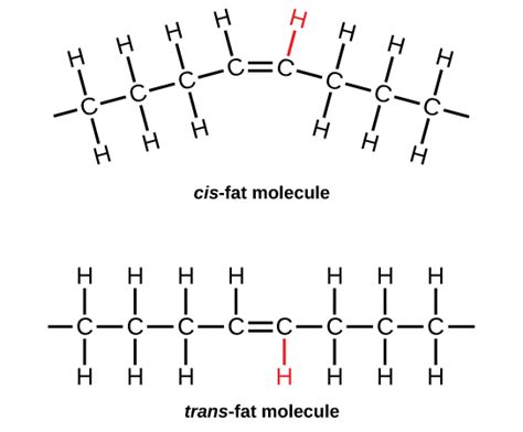 Lipids Monomer Structure