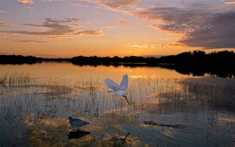 Everglades National Park whispers to you - Road Trips with Tom