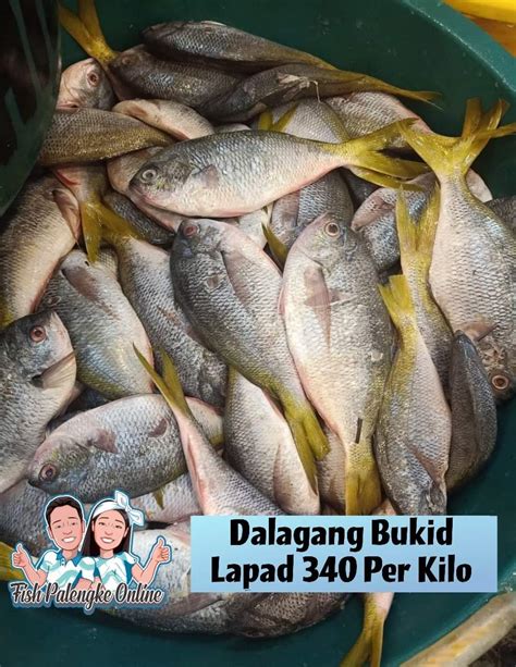 Dalagang Bukid, Dalagang Bukid Lapad 1kg | Lazada PH