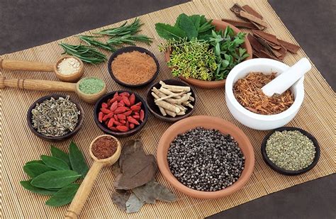 13 Best Ayurvedic Treatment For Diabetes, Remedies And Tips