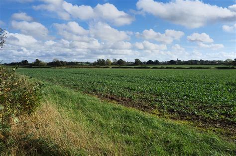 This Day In History: The Battle of Bosworth Field (1485) - History Collection