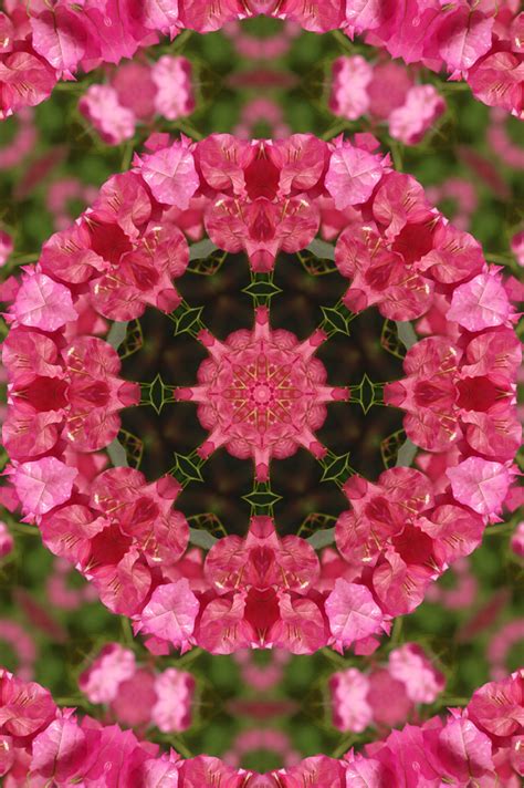 Floral Mandala 2 Free Stock Photo - Public Domain Pictures