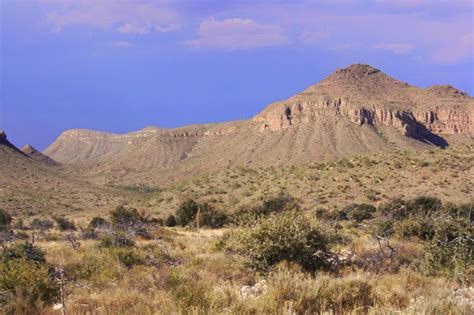 Tearoom Journal: THE CHIHUAHUAN DESERT