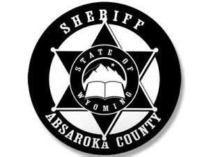 4" ABSAROKA COUNTY SHERIFF BUMPER DECAL STICKER USA MADE | eBay