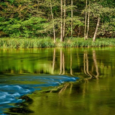 Drawa National Park - ITS Poland