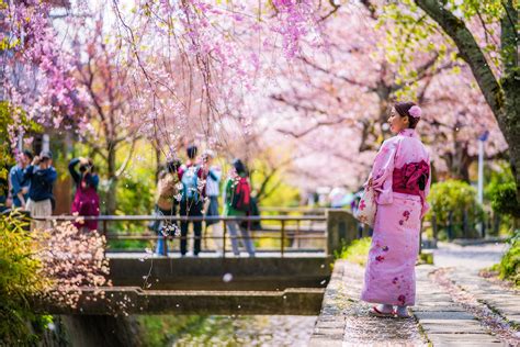 Walking Philosopher's Path in Kyoto, Japan - Travel Caffeine