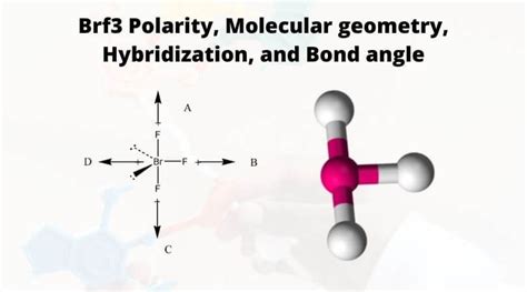 Brf3 Polarity, Molecular geometry, Hybridization, and Bond angle - Geometry of Molecules