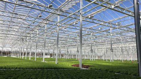 USDA Furthers Commitment to Urban Ag Production, Including Greenhouse ...