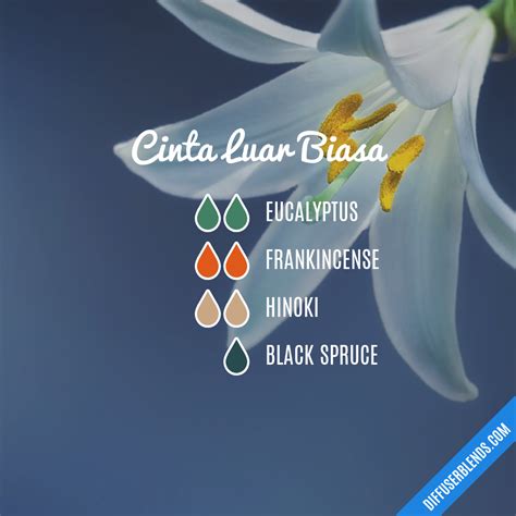 Cinta Luar Biasa | DiffuserBlends.com