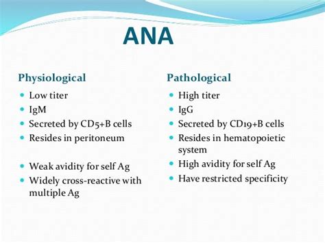 anti nuclear antibody