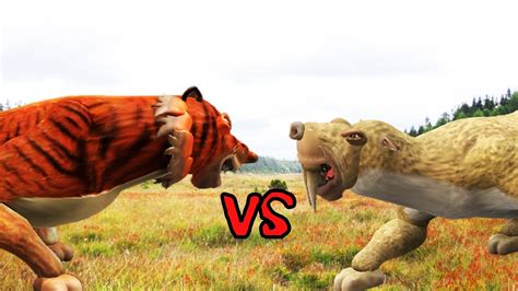 Saber Tooth Tiger Vs T Rex